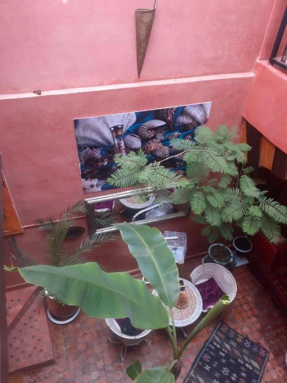 Riad Hanafi Marrakesh Extérieur photo
